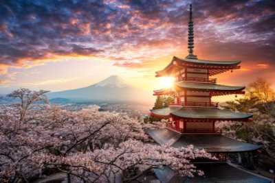 Descubriendo Kamakura y Monte Fuji